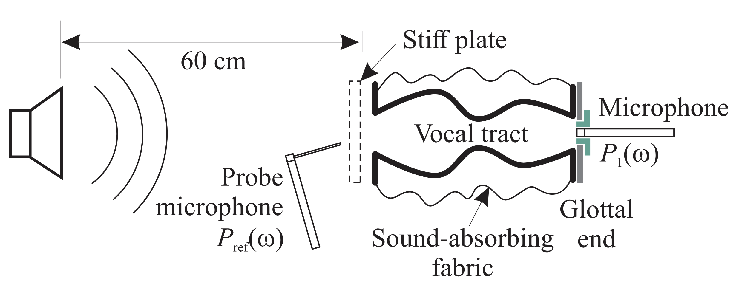 Birkholz acoustic experimental setup