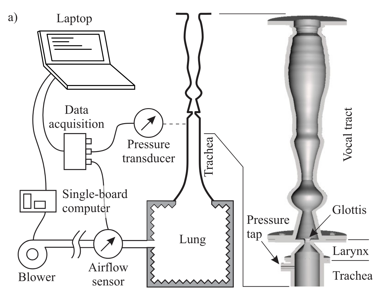 Birkholz acoustic experimental setup
