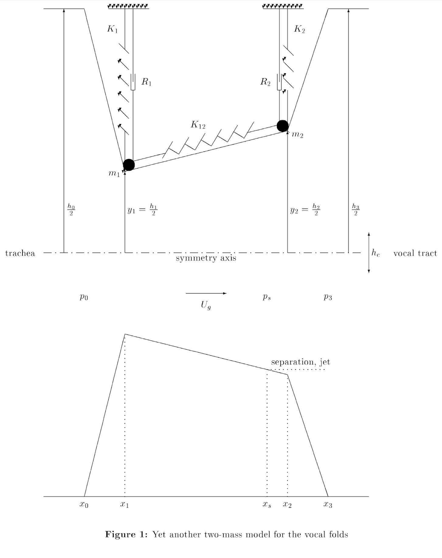 Vocal fold schematic: Lous's model.